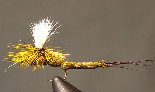 Green Drake Paradrake