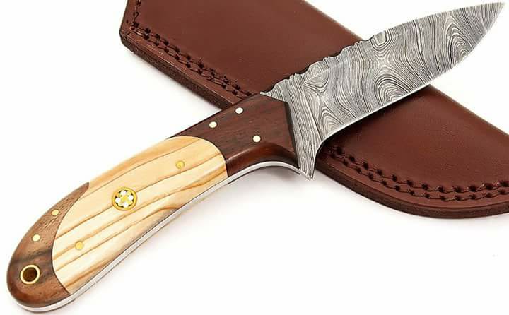 Custom Handmade Small Hunting Knife in Damascus Steel with Olivewood and Rosewood Handle