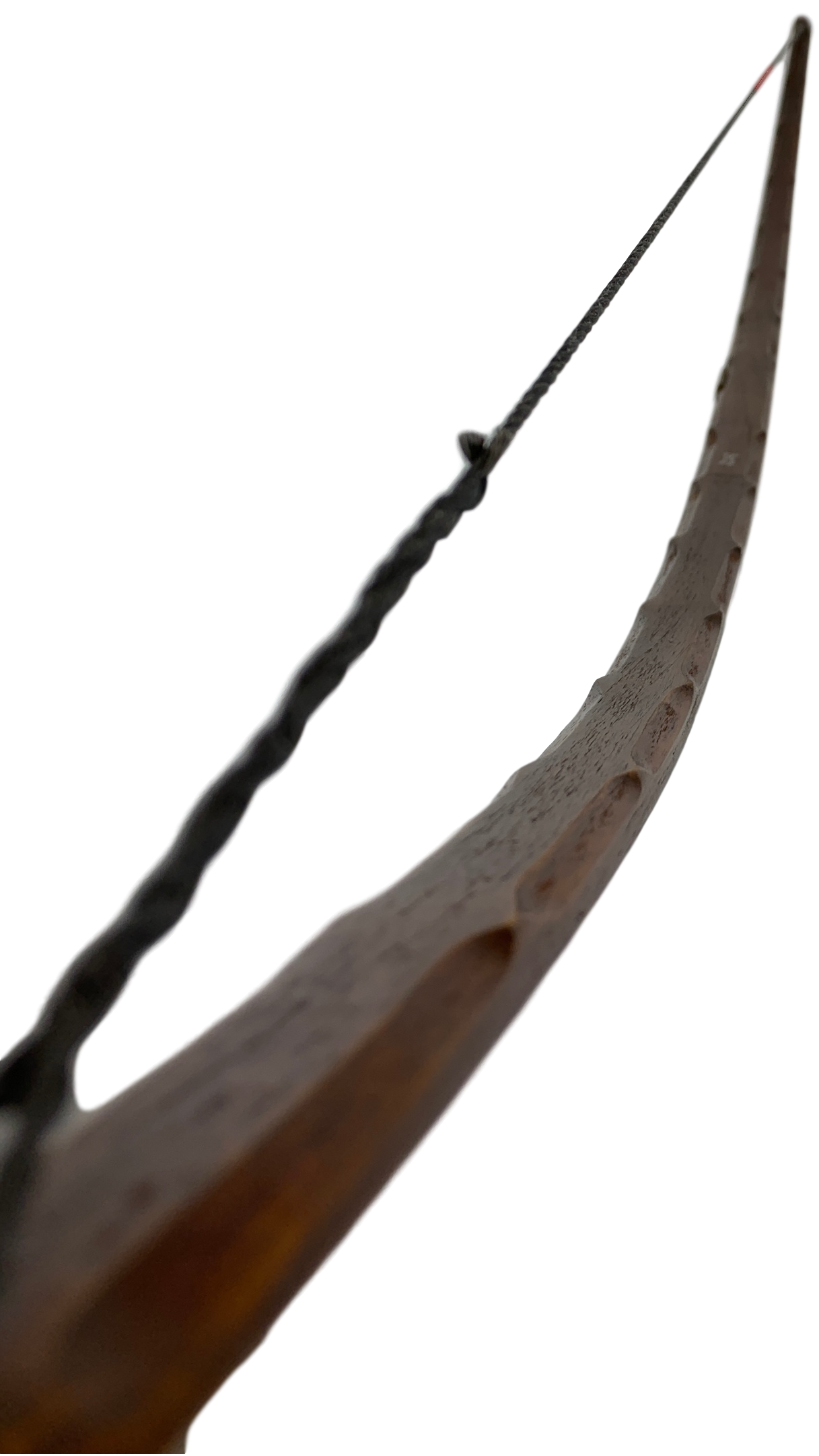 Oneida