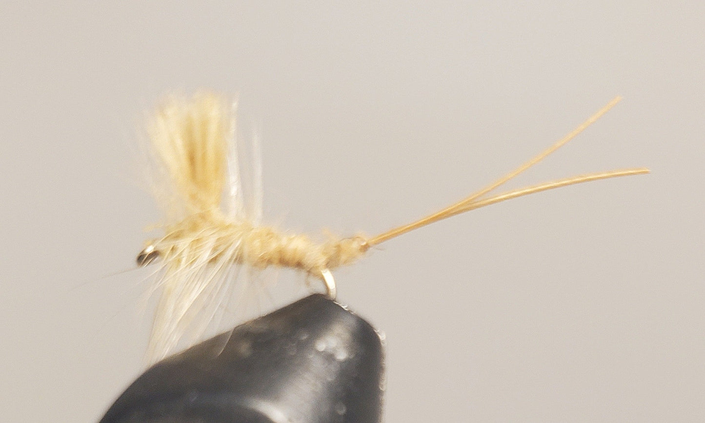 Extended Body Mayfly