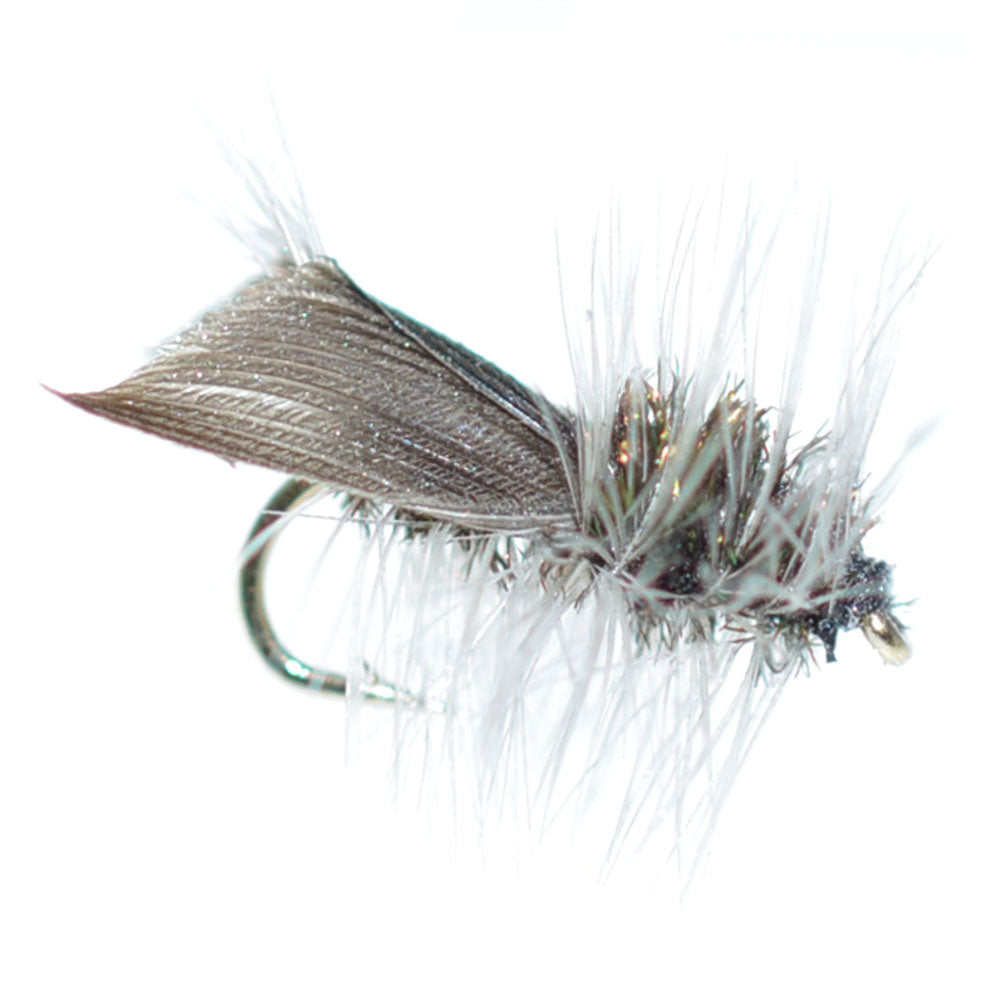 Caddis Flies