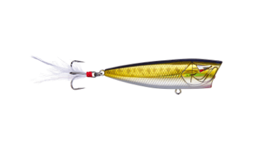 Topwater Baits