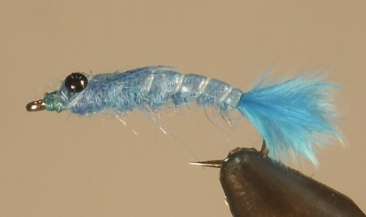 Blue Damselfly Nymph