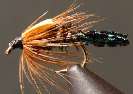 Zug Bug