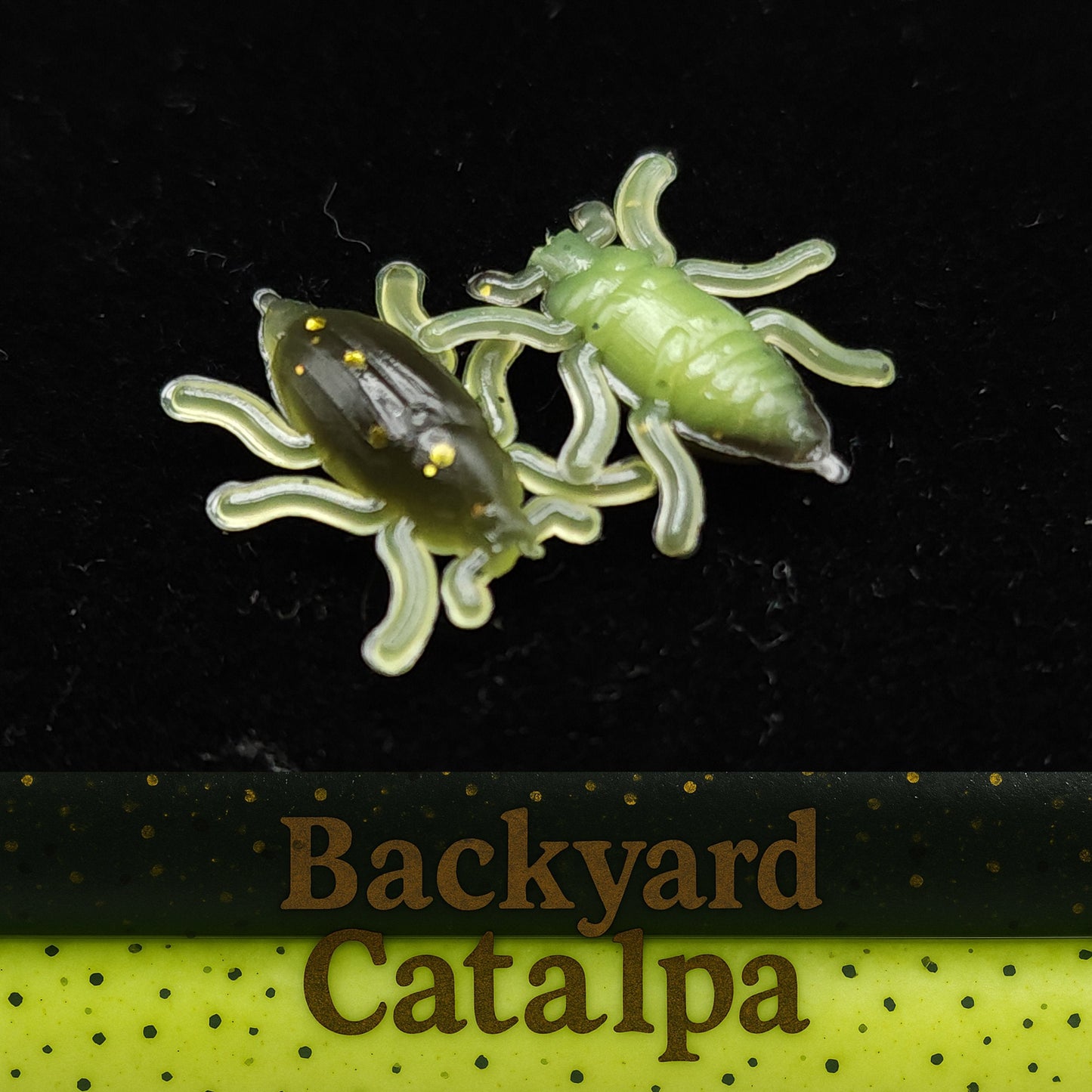 Jar of 0.5" Half Inch Micro Beetle "Toe Biter"