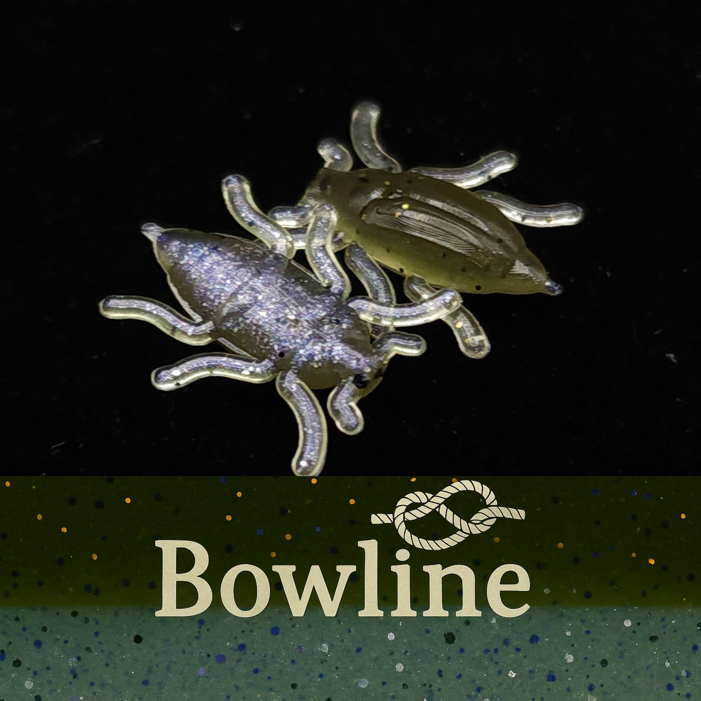 Jar of 0.5" Half Inch Micro Beetle "Toe Biter"