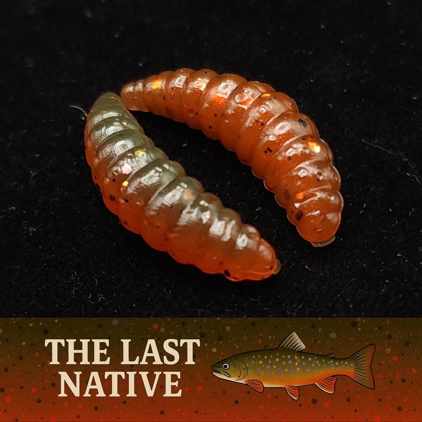 Jar of 1" Waxworm "The Tater Bug"