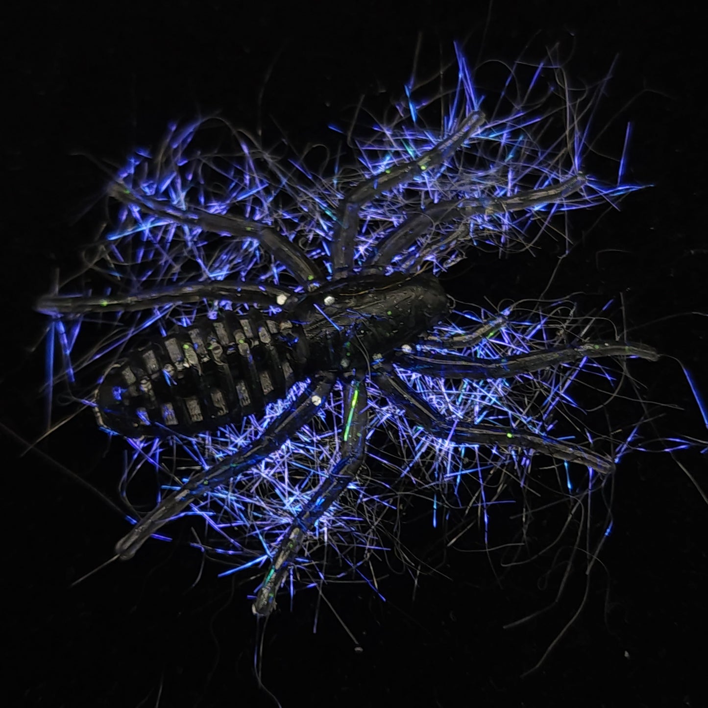 Hairy 1" Micro Spider Bait "The Writing Spider"