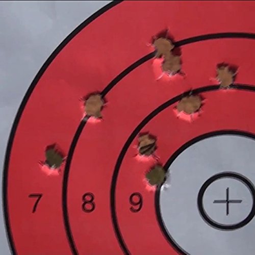 EZ2C Targets Style 12: Paper Shooting Targets for B16 11"x17" USA MADE