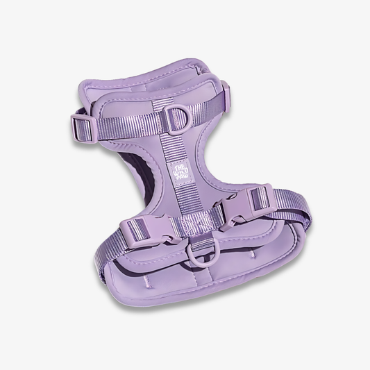 AdventurePro Harness