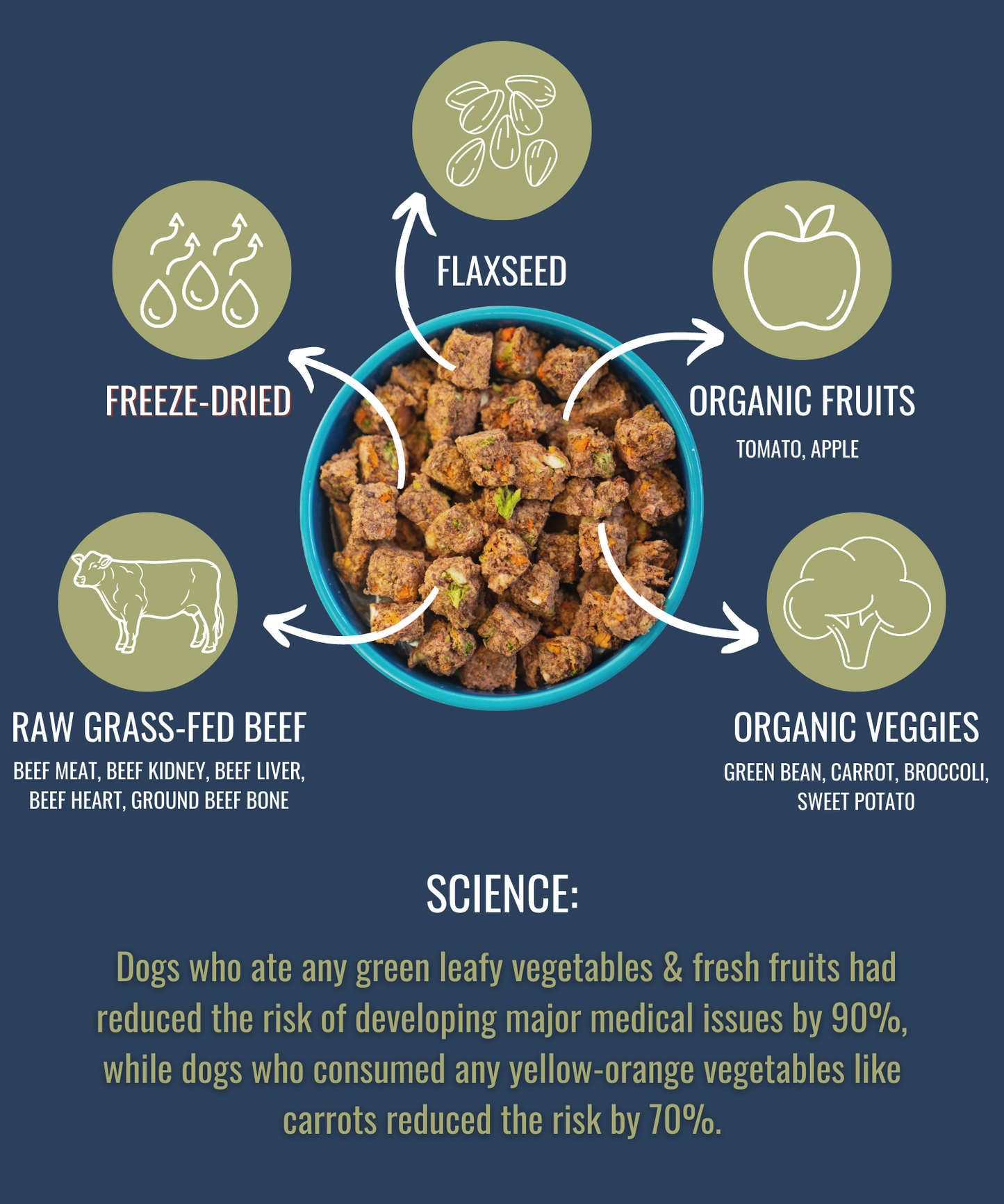 PREMIUM RAW FREEZE DRIED DOG FOOD BEEF