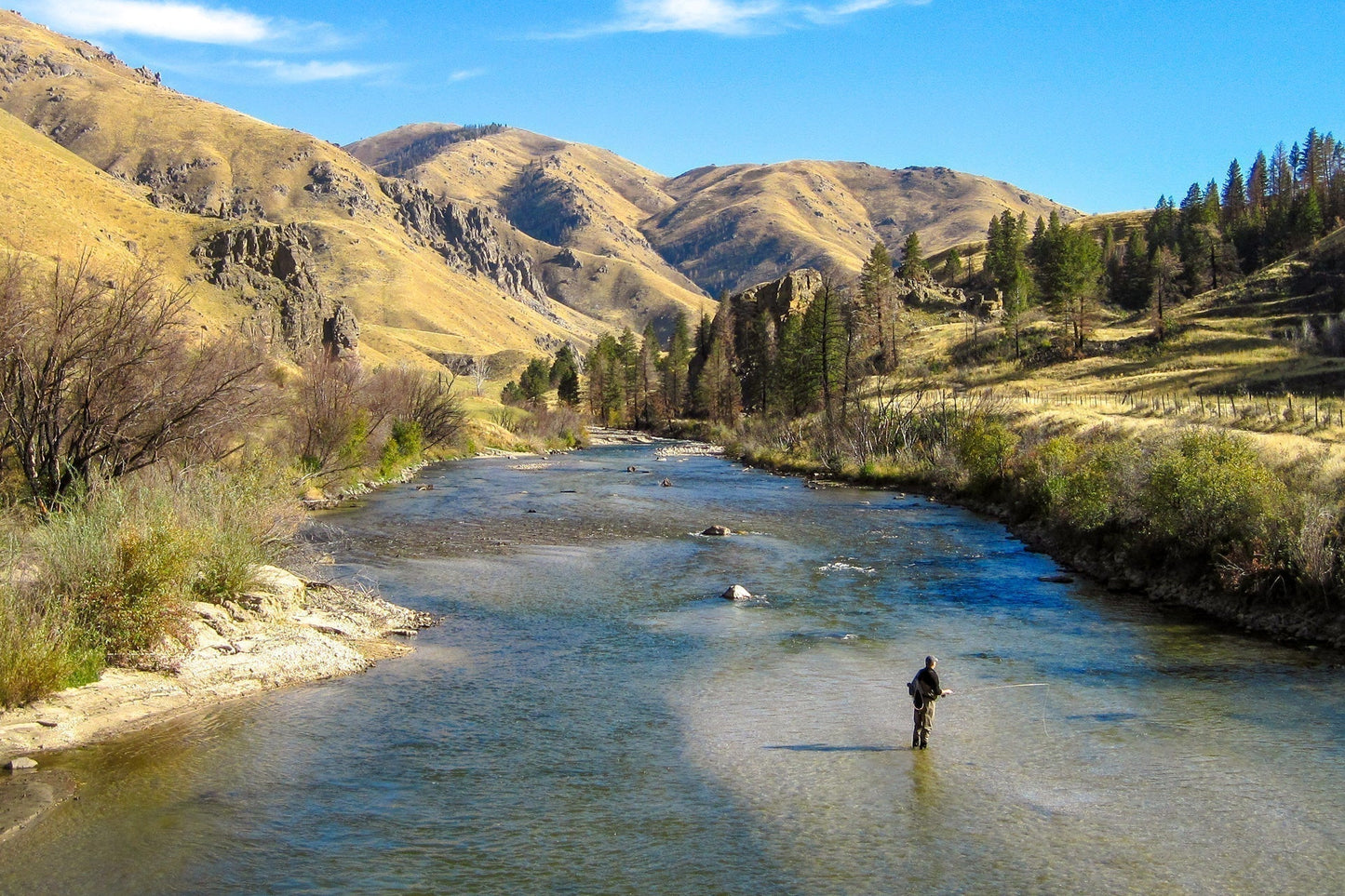 3 Pack Flash Back Bead Head Prince Nymph Fly Fishing Flies - Hook Size 16