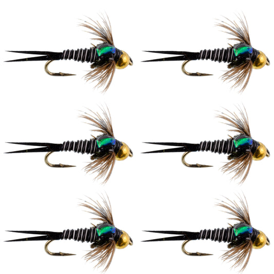Bead Head Zebra Copper John Nymph Fly Fishing Flies - Set of 6 Flies Hook Size 14