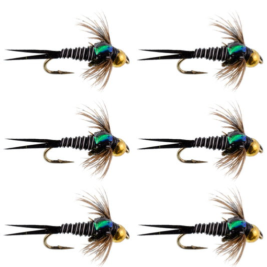Bead Head Zebra Copper John Nymph Fly Fishing Flies - Set of 6 Flies Hook Size 16