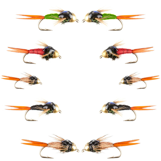 Basics Collection - Bead Head Copper John Assortment - 10 Wet Flies - 5 Patterns - Hook Sizes 14, 16, 18