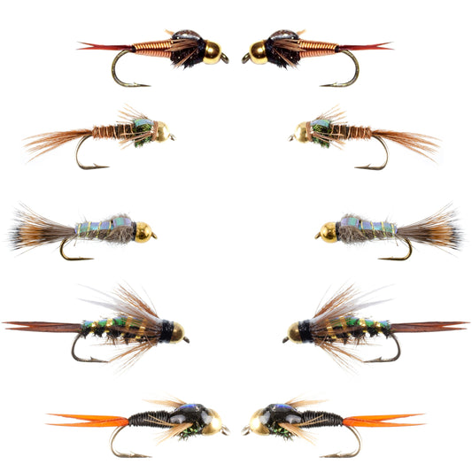 Basics Collection - Copper John and Flash Back Bead Head Nymph Assortment - 10 Wet Flies - 5 Patterns - Hook Sizes 10, 12, 14, 16