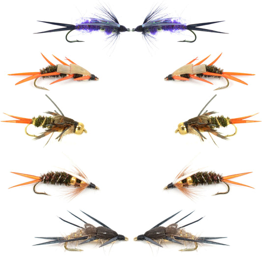 Basics Collection - Double Bead Head Nymph Assortment - 10 Wet Flies - 5 Patterns - Hook Size 12
