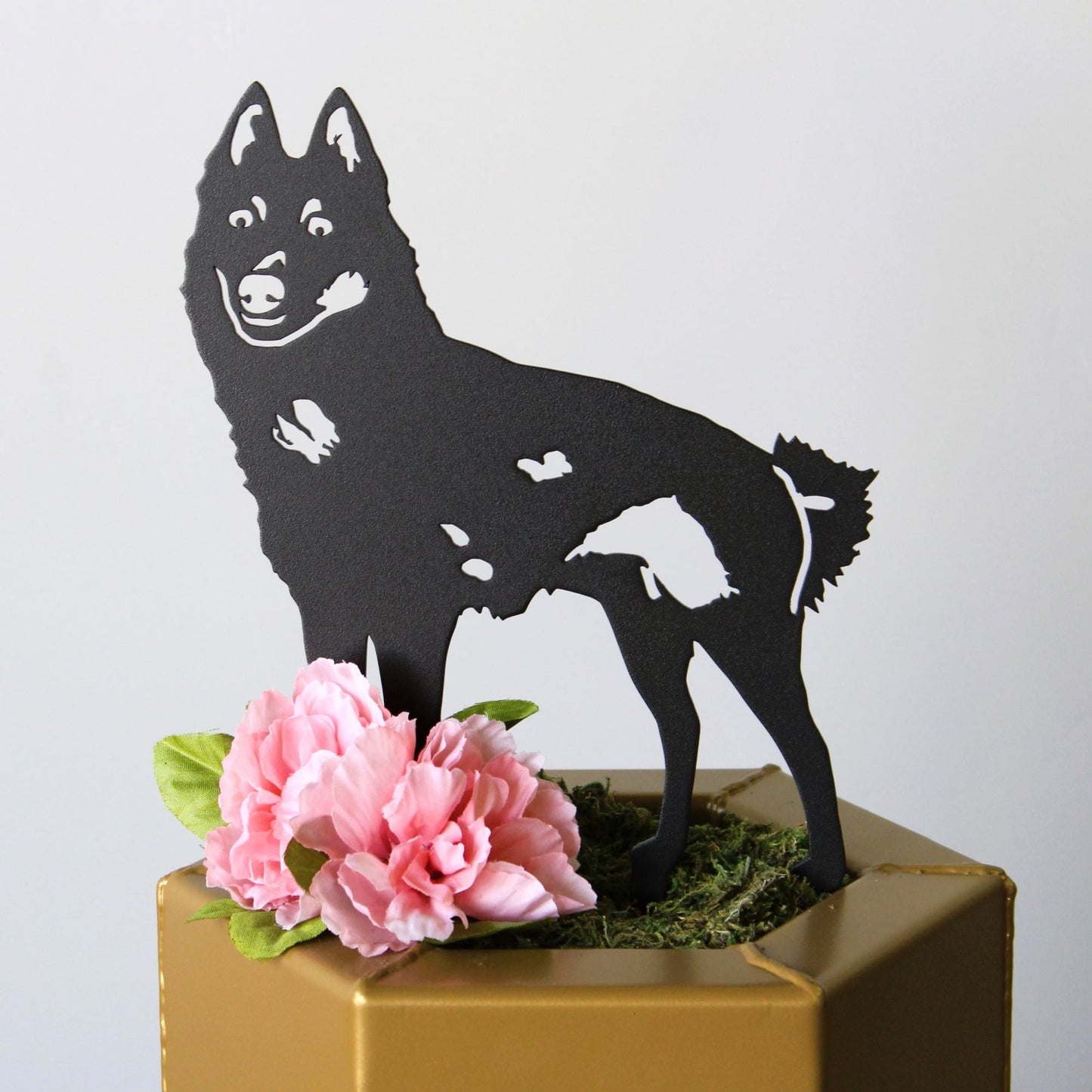 Schipperke