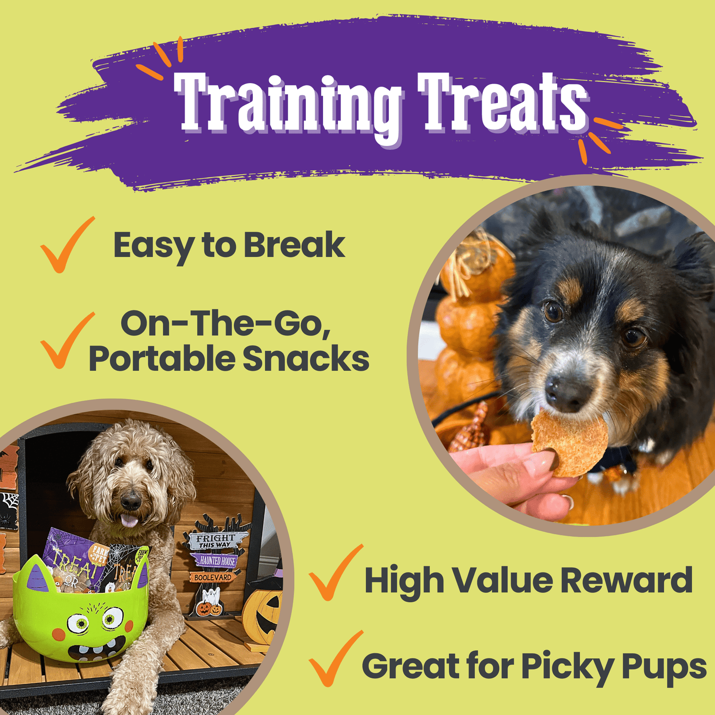 Trick or Treat Chip Mix Halloween Dog Treats