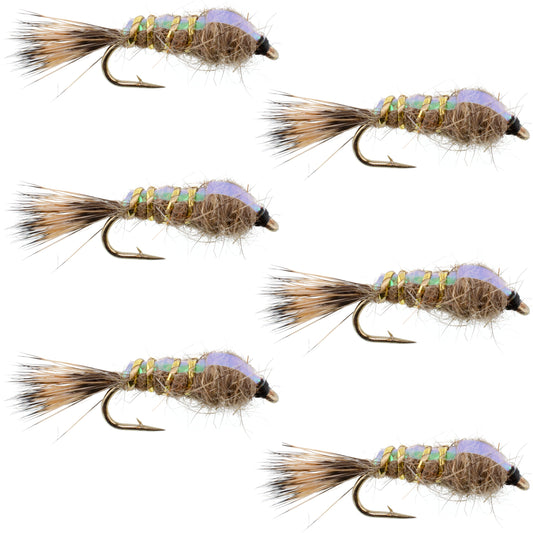 Classic Weighted Flashback Gold Ribbed Hares Ear Nymph - Set of 6 Flies - Size 16