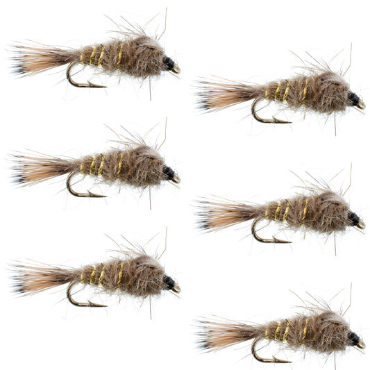 Classic Weighted Gold Ribbed Hares Ear Nymph - Set of 6 Flies - Size 10