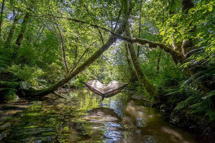 Grand Trunk Skeeter Beeter Pro Mosquito Net Hammock