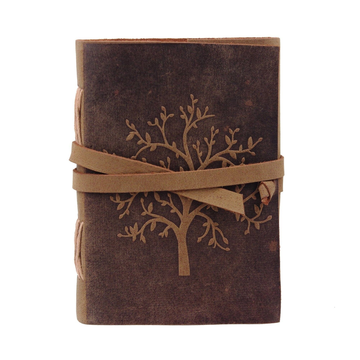 The Sapling Notebook