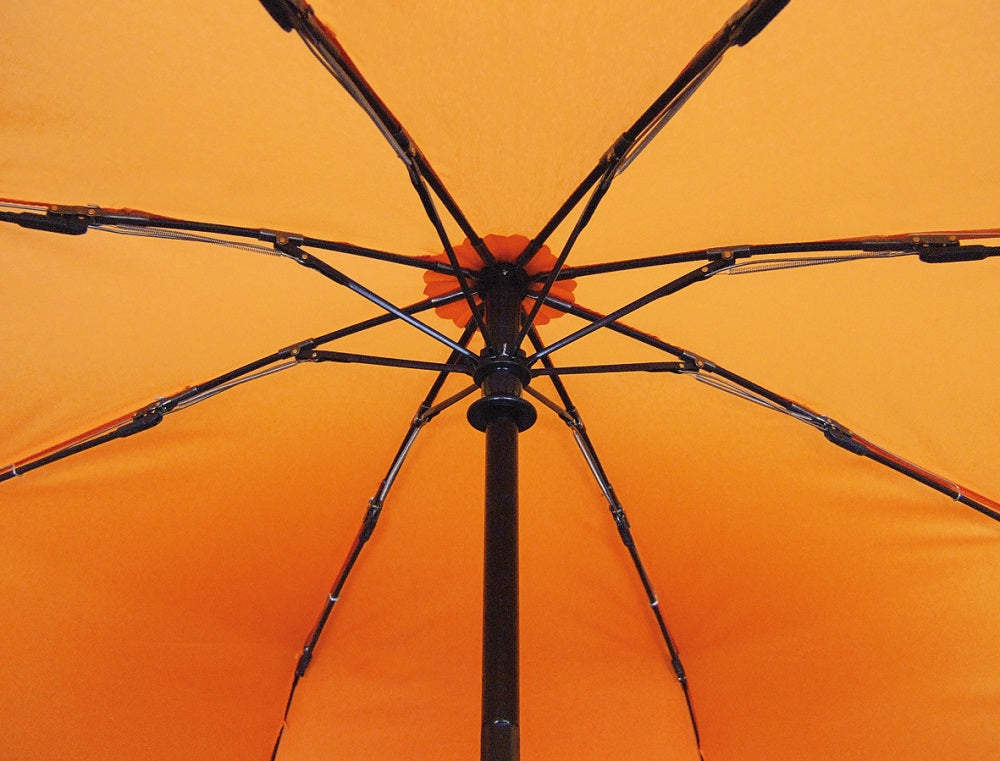 Light Trek Automatic Hiking Umbrella – Lightweight, Durable, Automatic Open/Close, Windproof Frame with Floating Compass & Backpack Carry Case