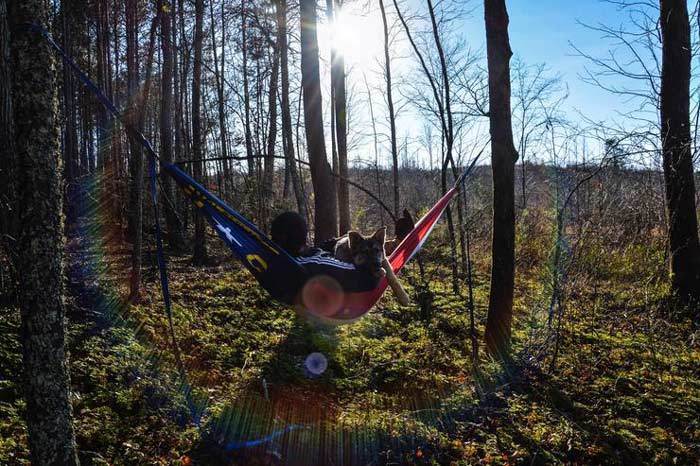 Grand Trunk Single US States Hammock