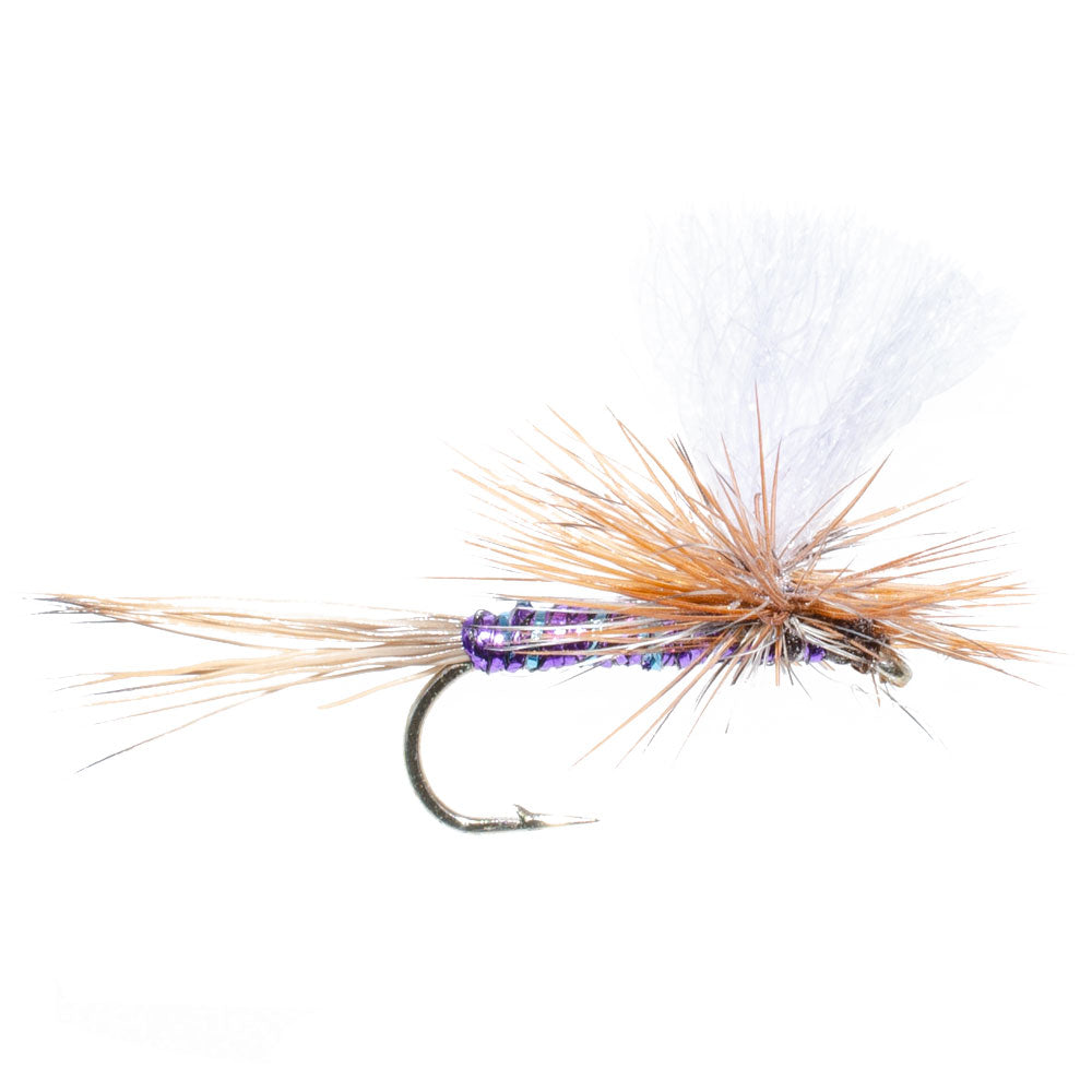 3 Pack Parachute Super Flash Purple Haze Dry Fly - Size 18