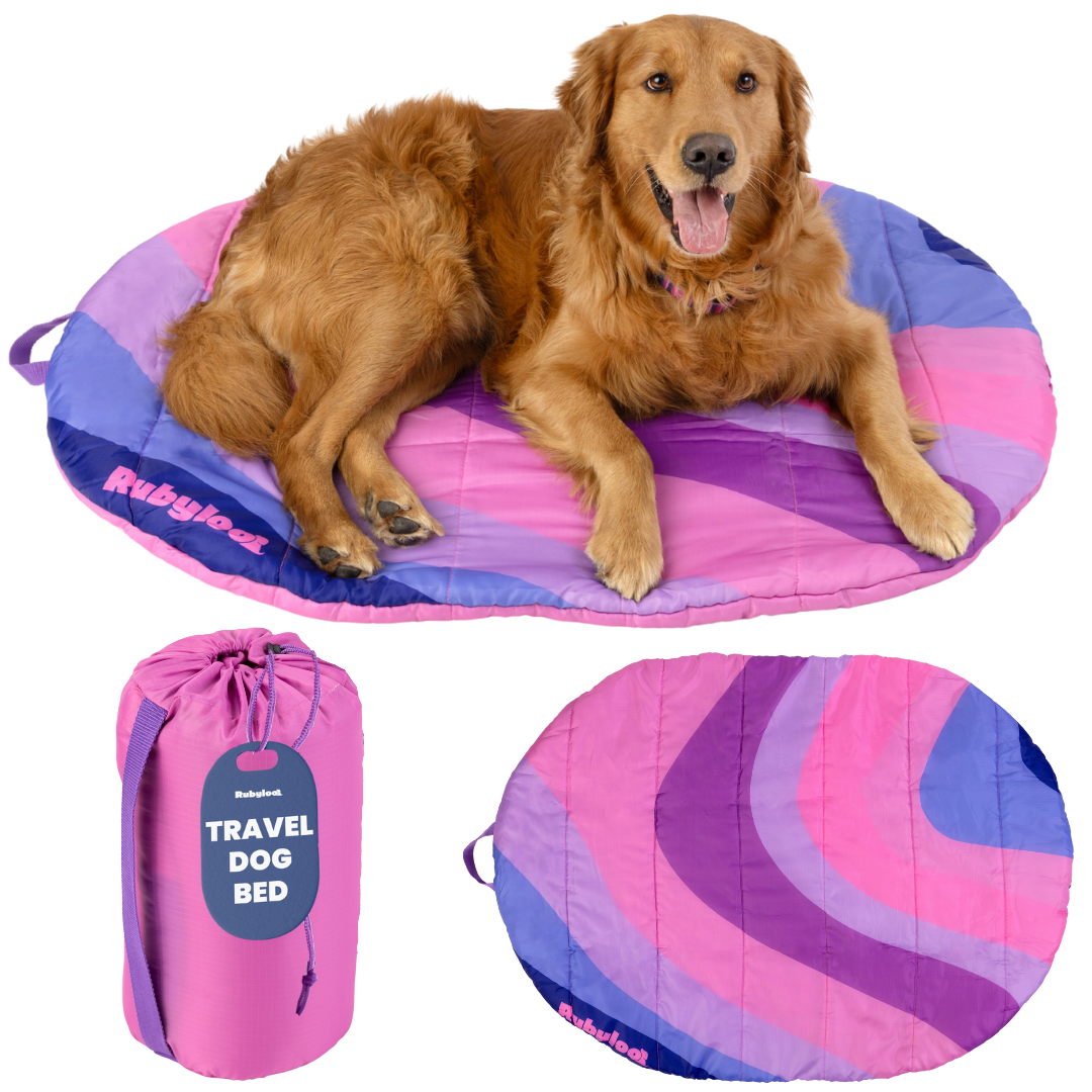 Travel Dog Bed – Foldable, Lightweight, Water Resistant Mat