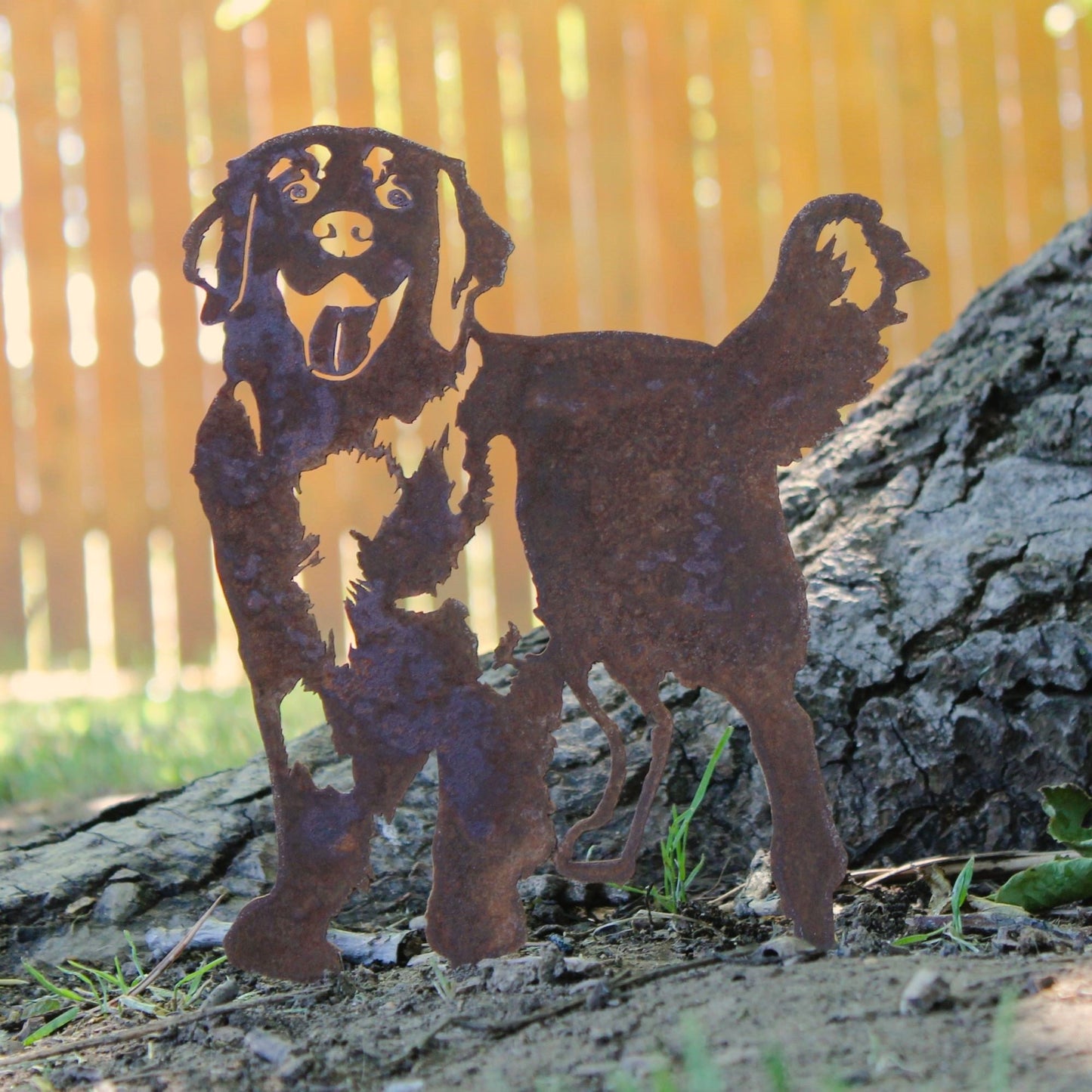 Golden Retriever - Standing