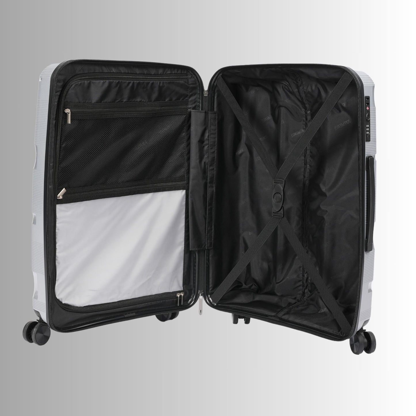 24-inch Silver Hardcase Roller Luggage