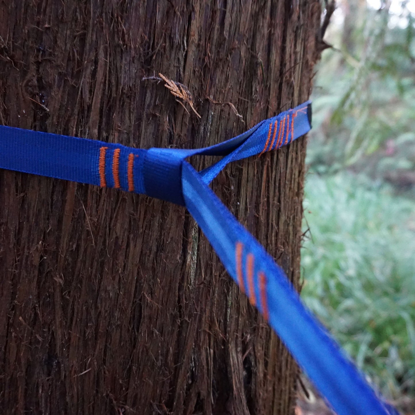 Grand Trunk Trunk Straps - Hammock Suspension Straps