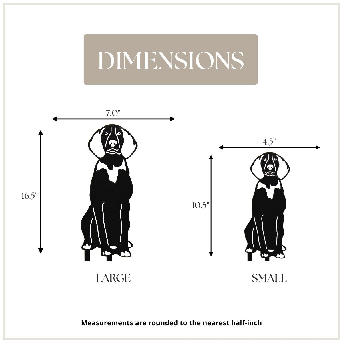 American English Coonhound
