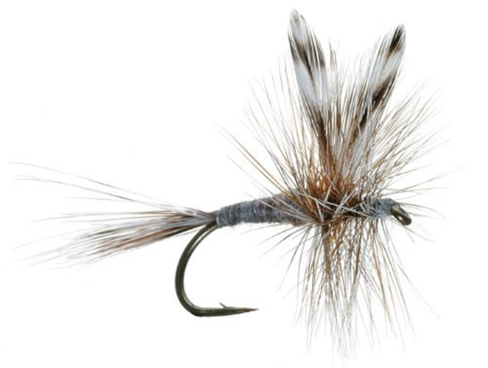 Barbless Adams Classic Dry Fly - Set of 6 - Hook Size 12