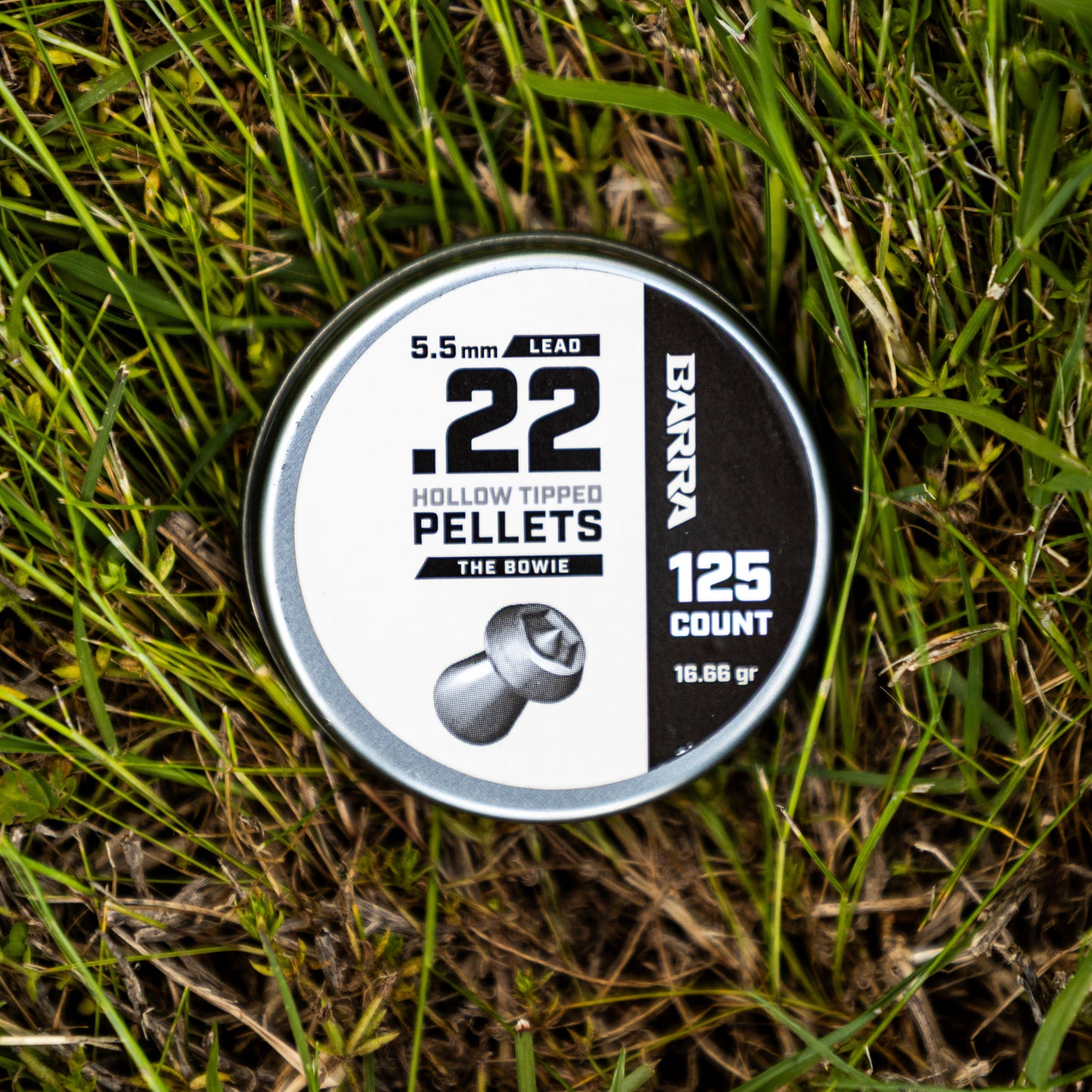 Bowie Hollow Tipped .22 Caliber Pellets - 125 Count