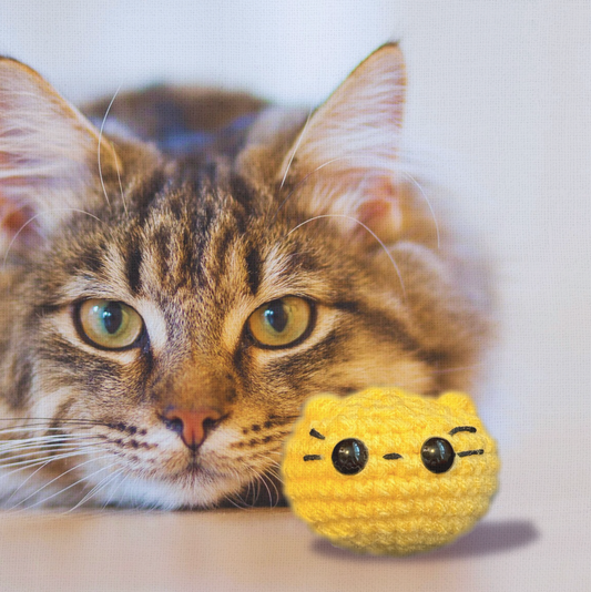 Handmade Weighted Catnip Toy | Pippa the Chonk Chunkle Chunk Infused with Miracle Nip Botanicals