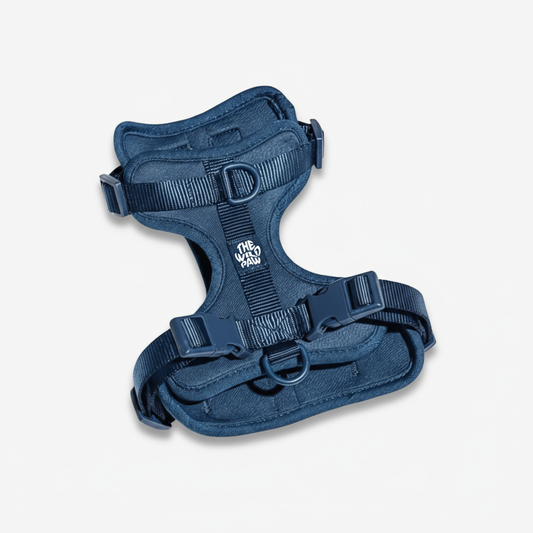 AdventurePro Harness